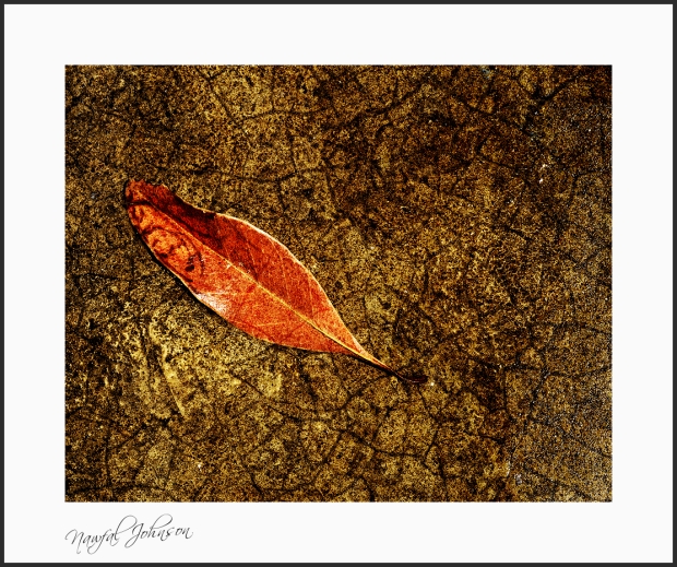 Dry Leaf on Golden Cracks, Edit D